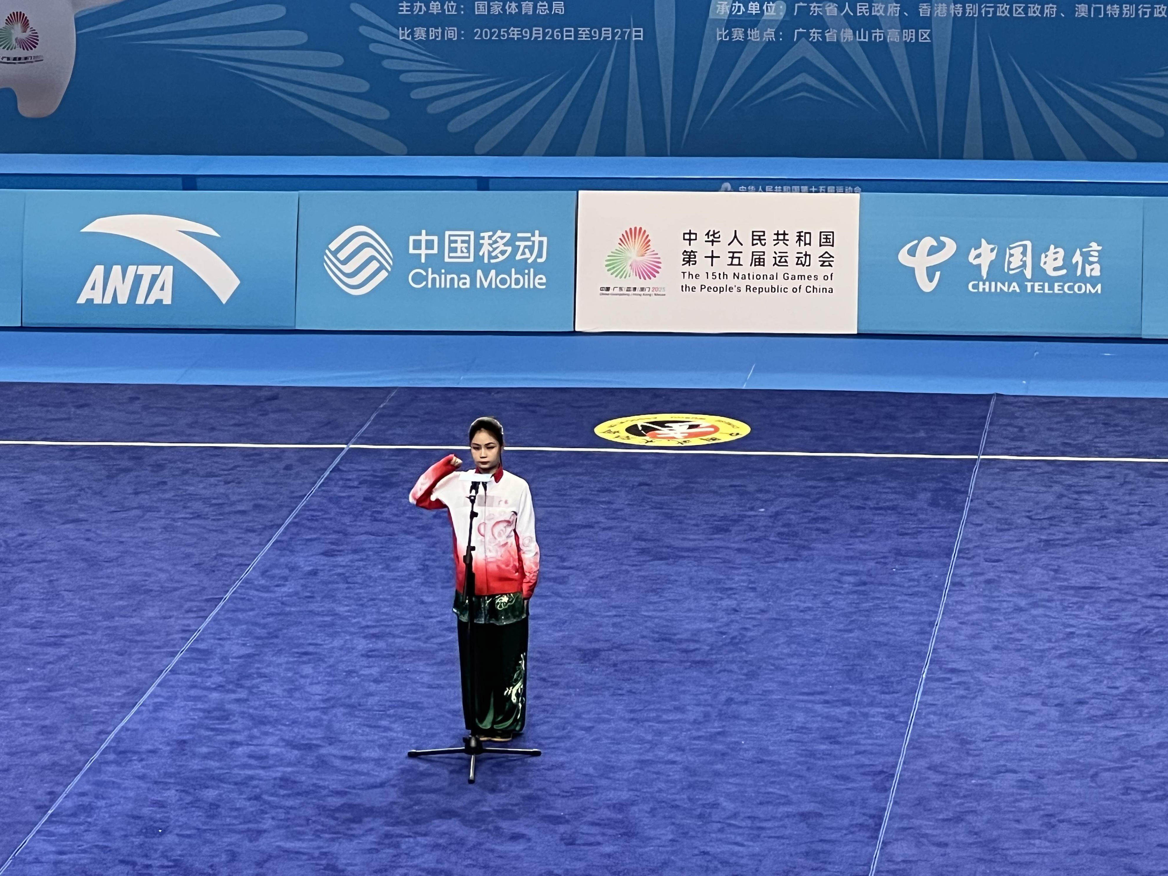 太极拳高手, 行文体展演, 极拳 太极拳高手, 行文体展演, 极拳