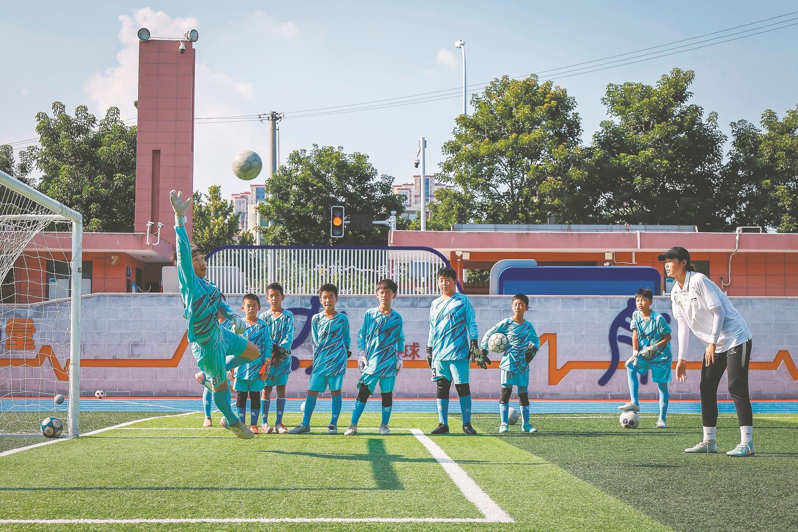 马术场地障 马术场地障